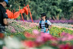 BIB: 
                            <button type="button" onclick="openModal(25934052)" class="btn btn-primary btn-sm float-right btn-popup" data-toggle="modal" data-target=".modal-high-quality">
                        <i class="fas fa-shopping-cart"></i> Add to Cart
                    </button>
                                            <button type="button" onclick="isThisMe(25934052, true)" class="btn btn-success btn-sm float-right btn-popup btn-isme hidden" data-toggle="tooltip" data-placement="bottom" title="นี่คือรูปของคุณใช่ไหม คลิกที่นี่เพื่อเอาเข้าอัลบั้ม">
                        <i class="fas fa-plus"></i> Add to album
                    </button>
                    <button type="button" onclick="isThisMe(25934052, false)" class="btn btn-warning btn-sm float-right btn-popup btn-isnotme hidden">
                        <i class="fas fa-ban"></i> Remove from album
                    </button>